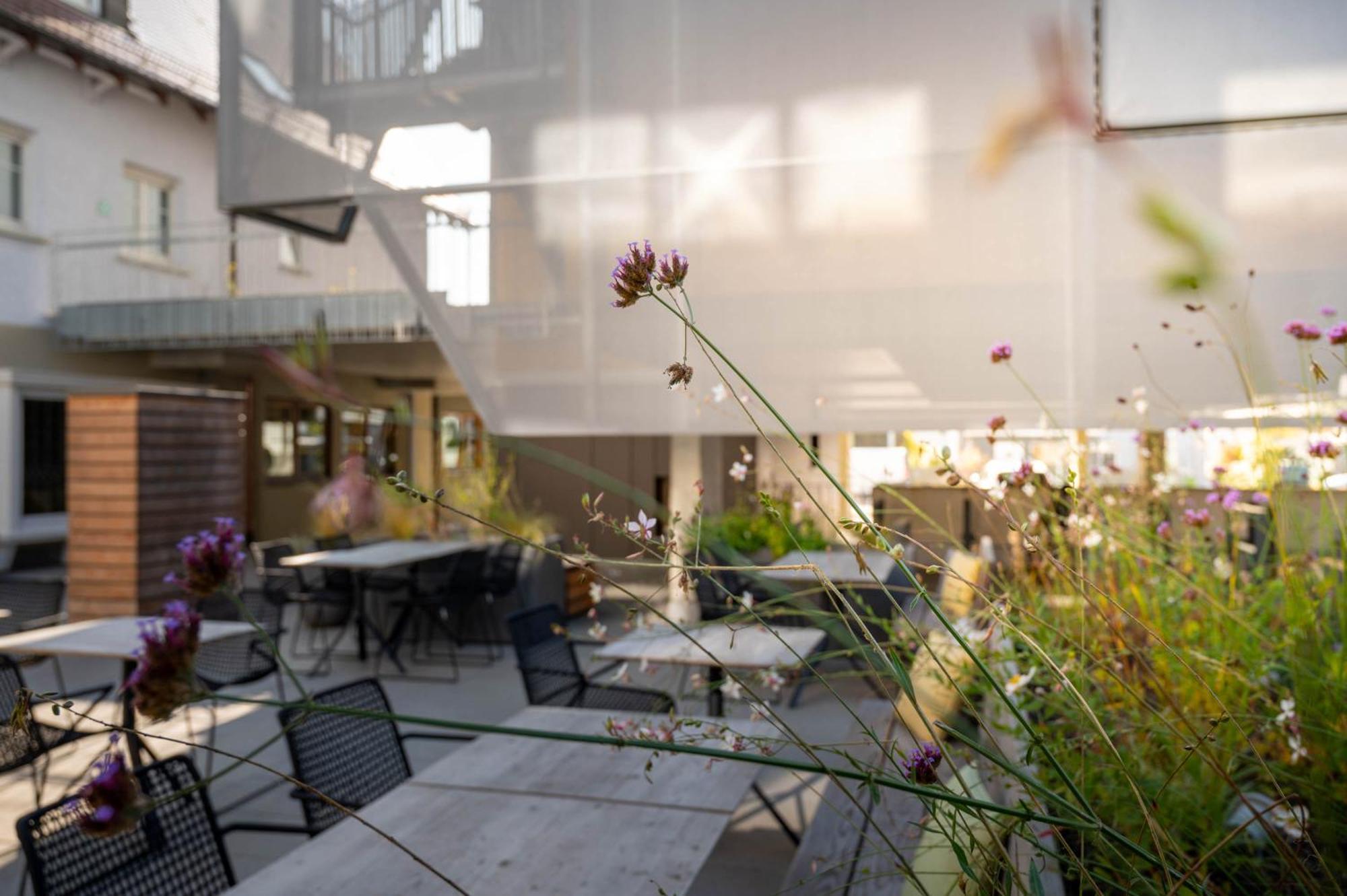 Hotel Maier Friedrichshafen Ngoại thất bức ảnh
